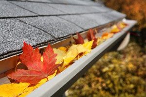 gutter-cleaning-e1408563396882-1