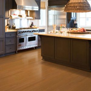 remarkable-kitchen-flooring-ideas-kktch-1